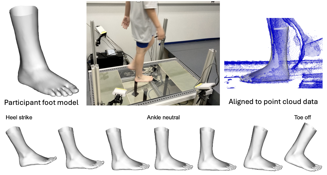 Foot Shape in Motion