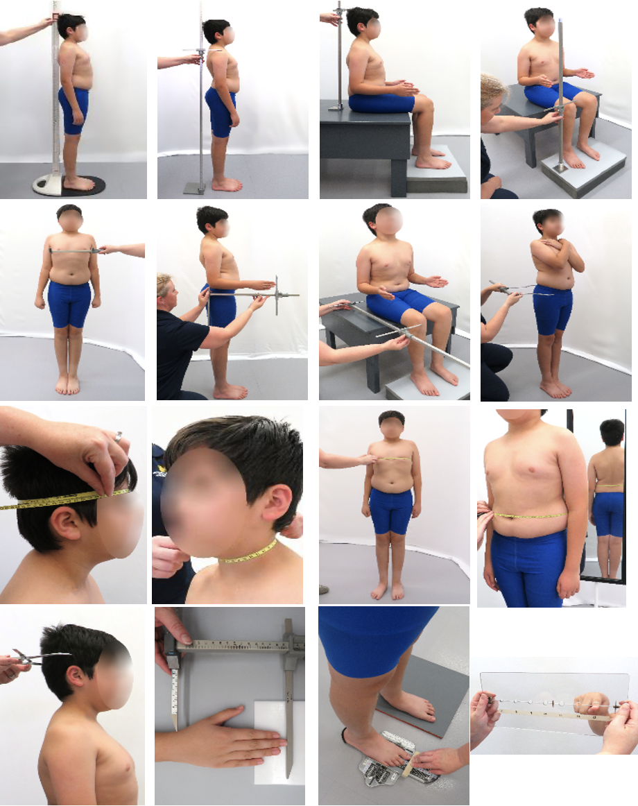 Manual Anthropometry